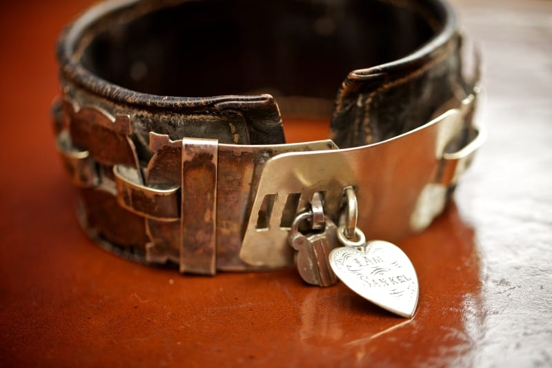 Dog collar worn by Sankel